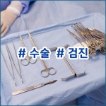 지인동물병원