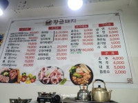 황금돼지