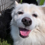 리리펫호텔 & 유치원