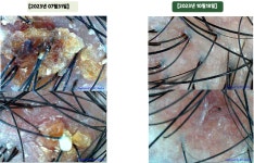 닥터모락 광주상무점