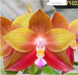 농업회사법인 하이시티팜