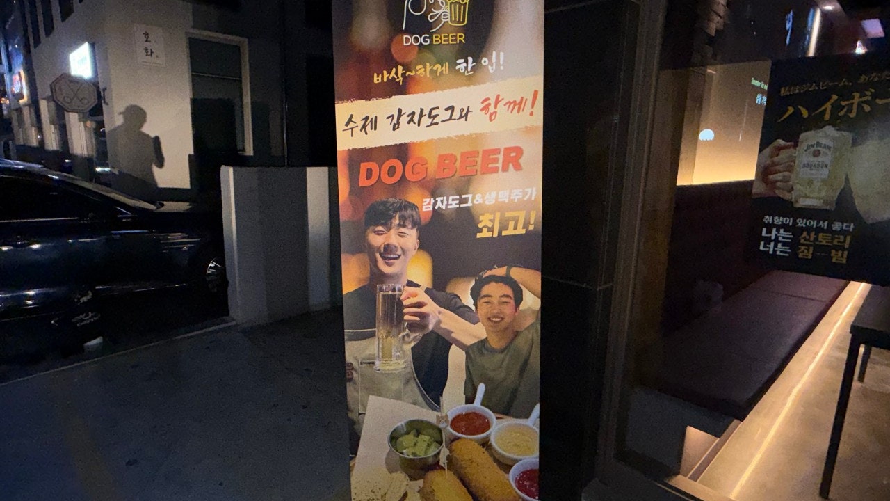 도그비어