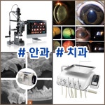 지인동물병원