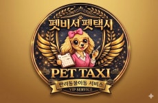 펫비서 펫택시