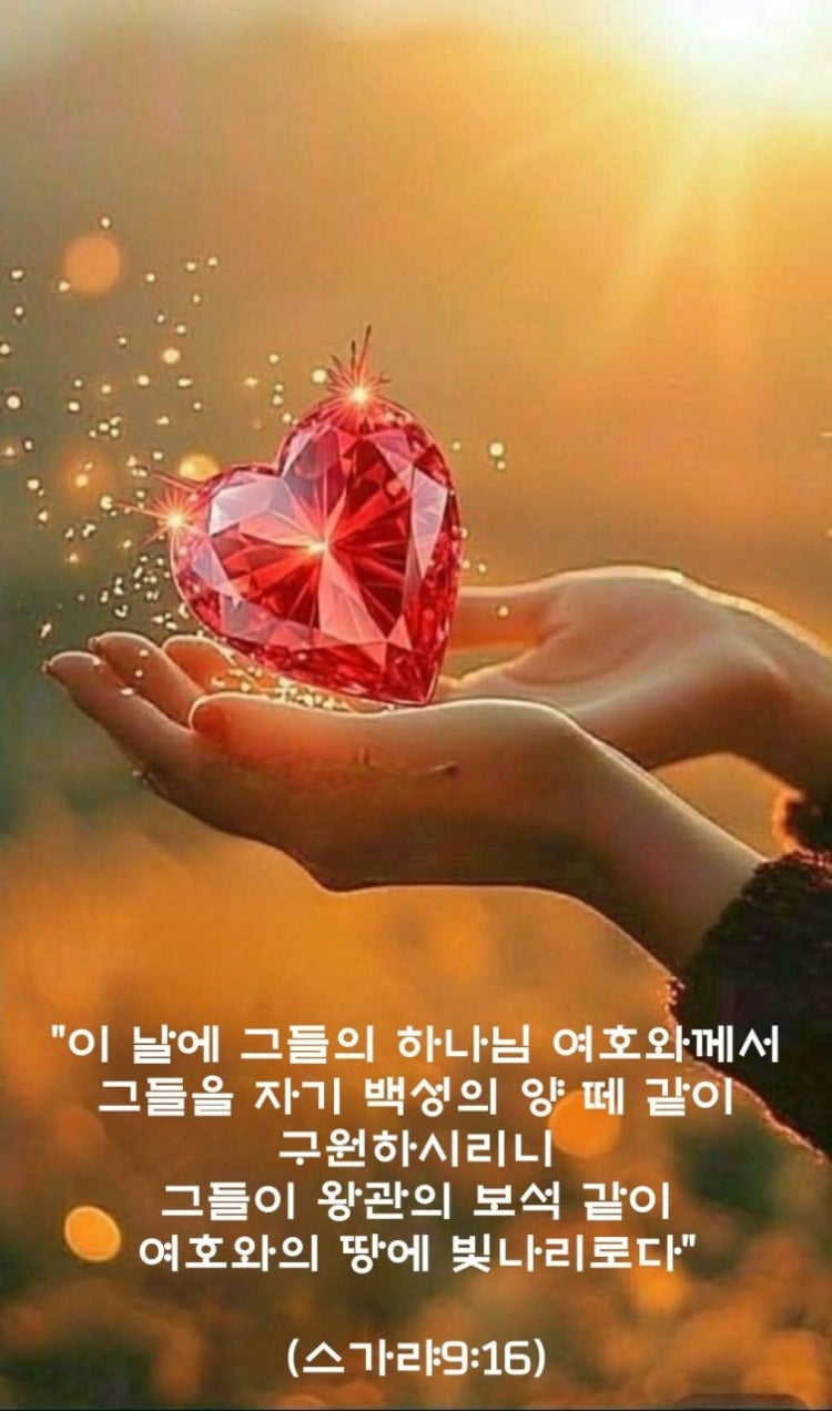 성신교회 사진 2