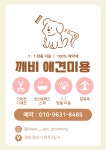 깨비애견미용