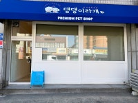 댕댕이라개 강아지분양 안양본점