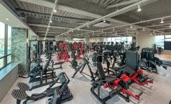 알브이디gym 전곡 헬스&PT