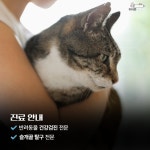 포시즌 송도동물병원