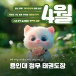 용인대정무태권도장