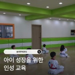 솔로몬태권도