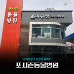 포시즌 송도동물병원