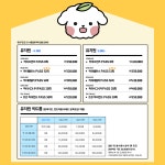 하이댕댕 애견호텔 애견유치원