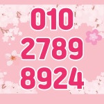 송도고래공인중개사사무소