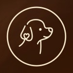 다정하개펫살롱