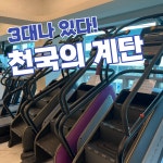 데이원짐 헬스&PT