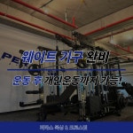 퍼라스복싱&크로스핏짐