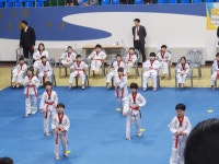 호랑이태권도