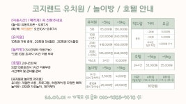 코지랜드 애견유치원&호텔