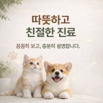 튼튼동물병원