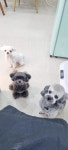 더예뻐지개