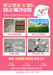 댕큐 애견유치원&애견호텔&애견미용