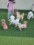 아지스테이션