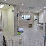 김기혁동물병원