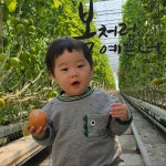 유기농 백이산 농원