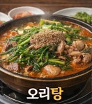 무안 오리