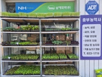 중부농약종묘사