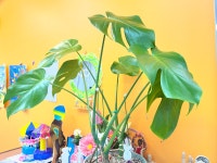 아트앤하트 서울송파시그니처롯데캐슬 미술교습소