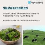 하늘마음한의원 청주점