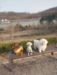 호텔댕루나