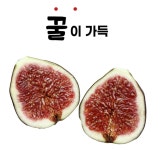 천곡무화과농장