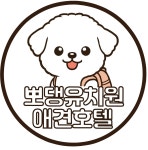 뽀댕유치원 애견호텔