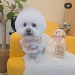 냥이댕이