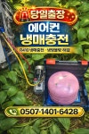 대일