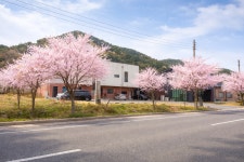 내장산 208 정읍 펜션