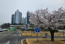 고려자동차운전전문학원