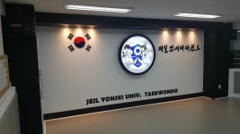 제일연세대 태권도&점핑줄넘기