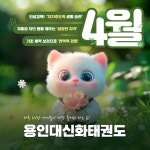 용인대신화태권도