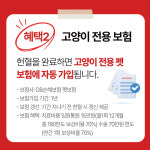 한국고양이혈액센터