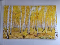 소슬마루공인중개사사무소