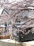 센트레