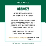 애견호텔도그캐슬 다산점