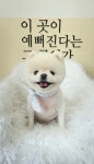 꽃분살롱
