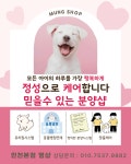 멍샵 강아지분양 인천본점
