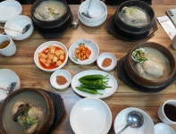 온천삼계탕