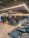 고릴라GYM 홍성점